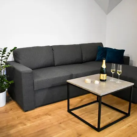 Апартаменты Runi *